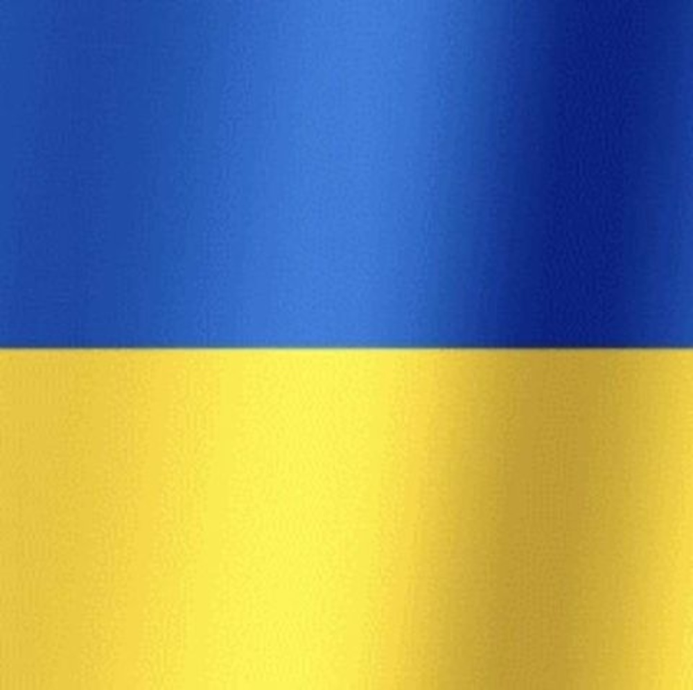 Meet your Posher, Audrey